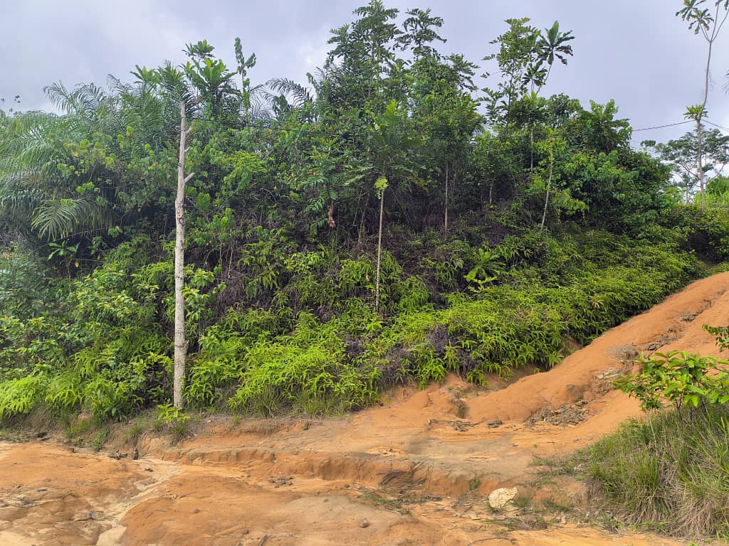 Terrain à vendre à Douala PK22